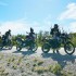 Ziemia Ognista Ushuaia Motocyklem - w lesie dziwnych suchych drzew na ziemi ognistej